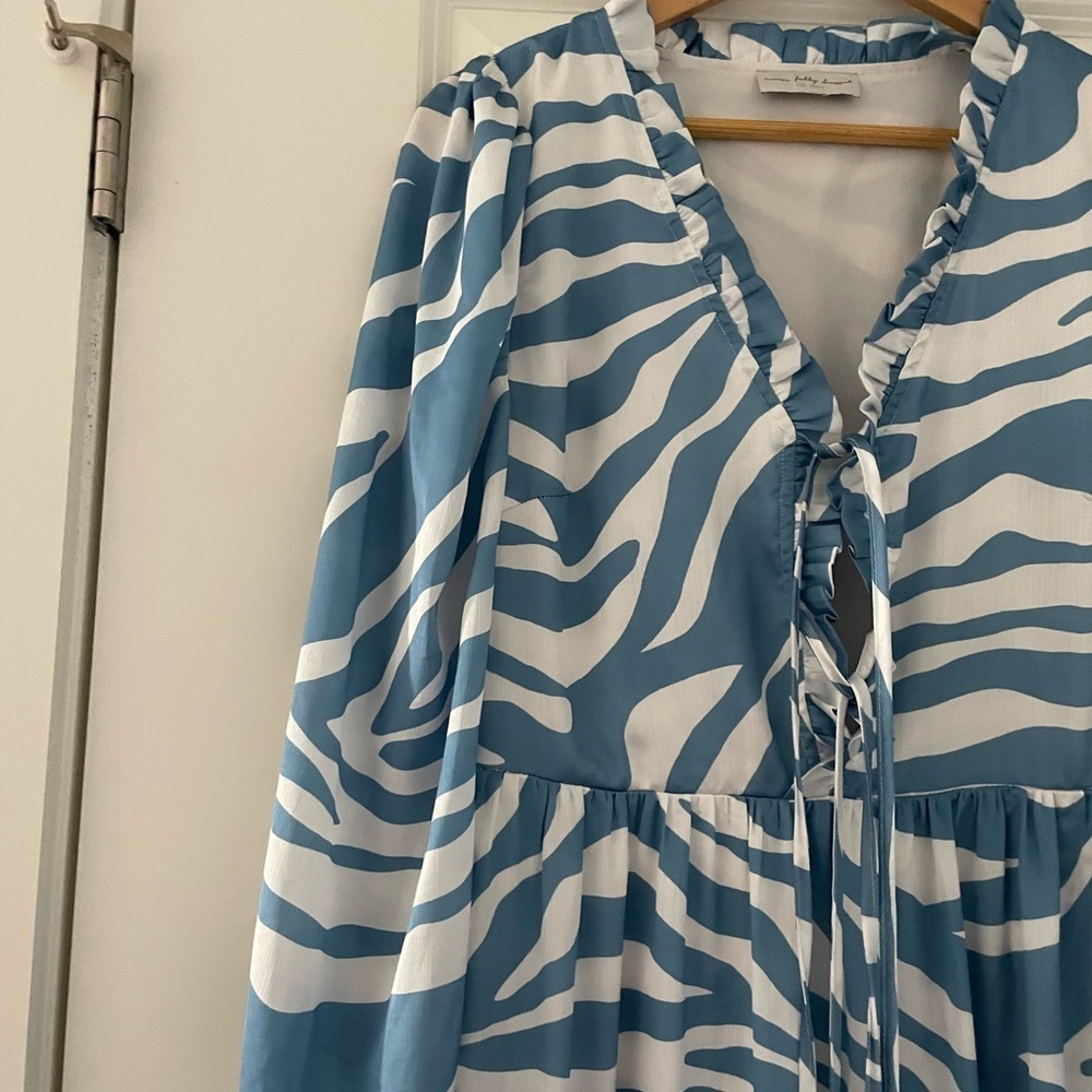 Never Fully Dressed Zebra Print Midi Dress - Picture 6 of 7